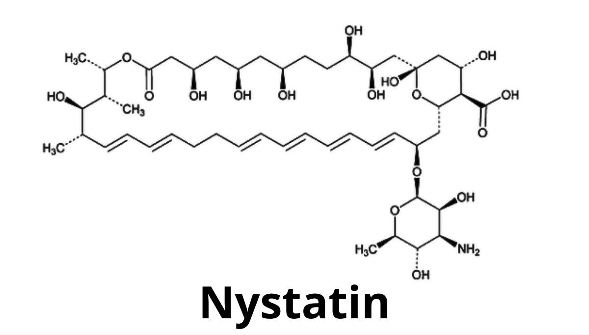 Nystatin trên nhãn Gynecon là gì?